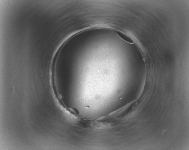 X0000069830955200605191136