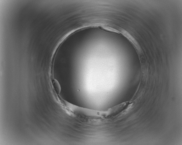 X0000069830956200605191136