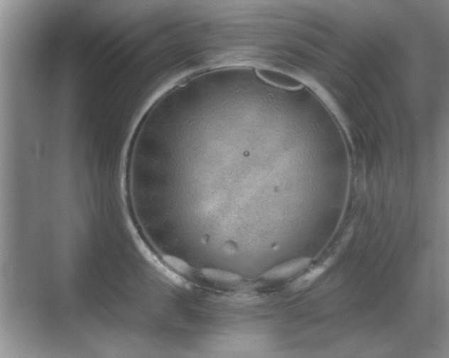 X0000069830957200605191136