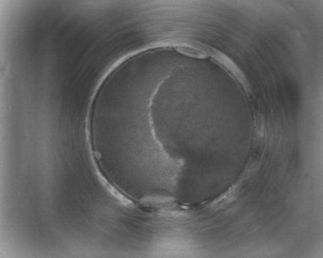 X0000069830958200605191136