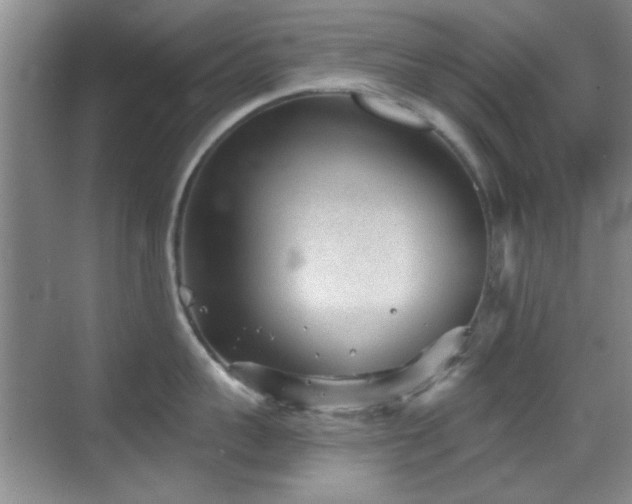 X0000069830959200605191136