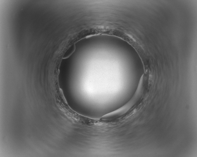 X0000069830961200605191135