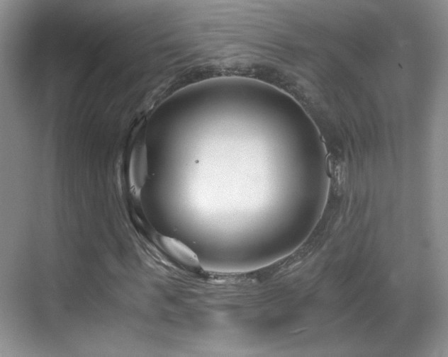 X0000069830963200605191135