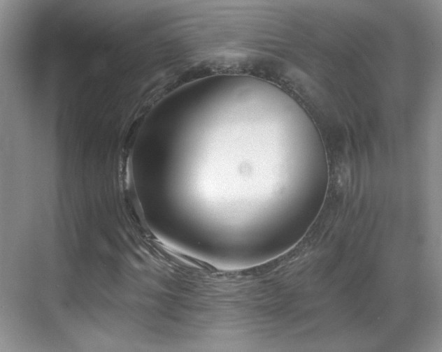 X0000069830964200605191135