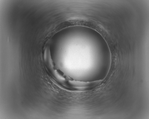 X0000069830965200605191135