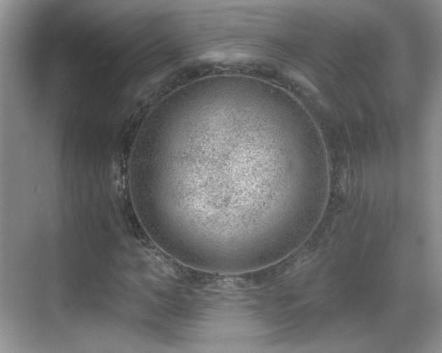 X0000069830966200605191135