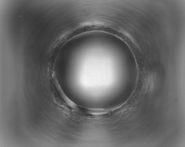 X0000069830967200605191135