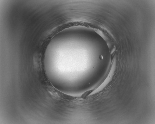 X0000069830968200605191135