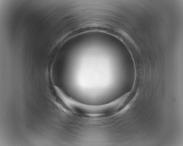 X0000069830969200605191135