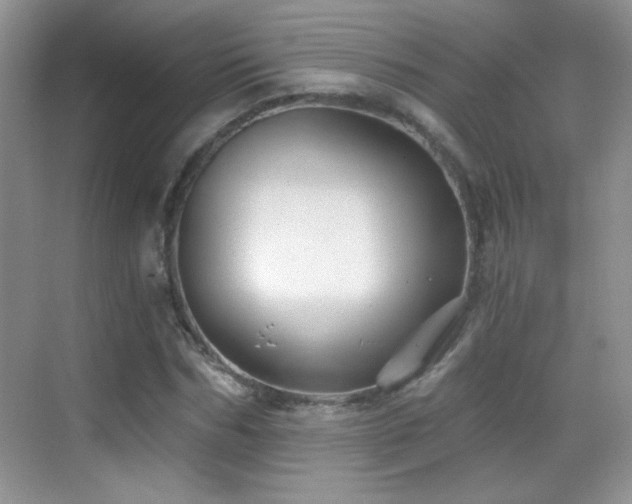 X0000069830970200605191135