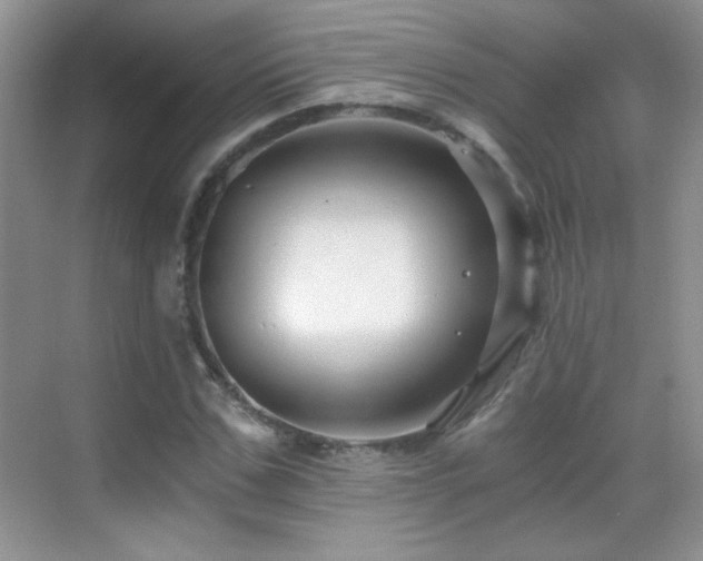 X0000069830971200605191135