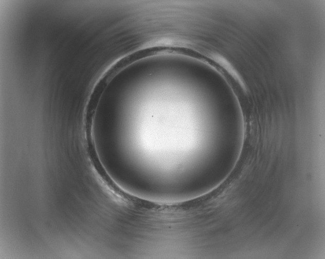 X0000069830972200605191135