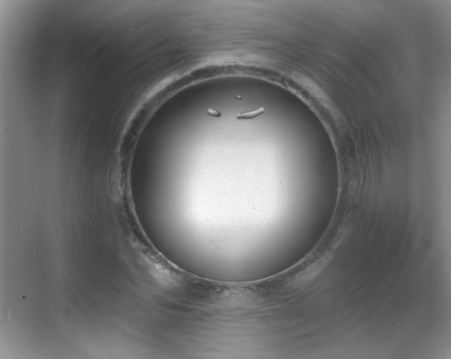 X0000069830974200605191135