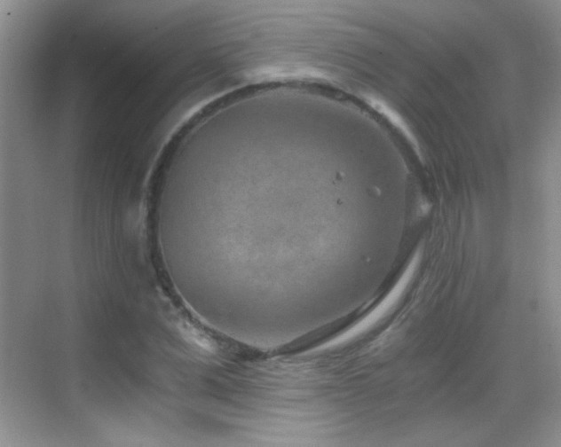 X0000069830975200605191135