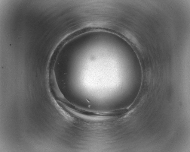 X0000069830976200605191135