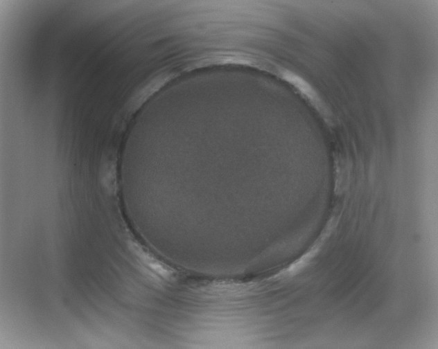 X0000069830977200605191135