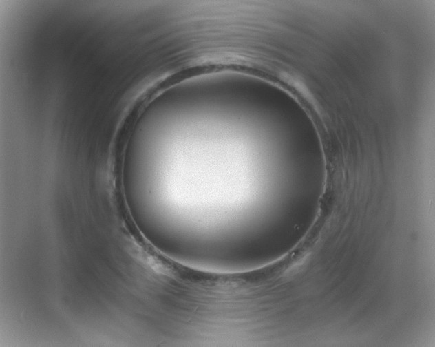 X0000069830979200605191135