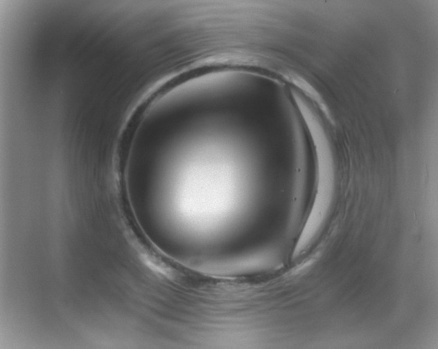 X0000069830981200605191135