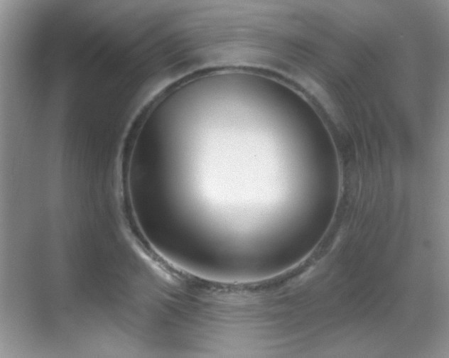 X0000069830982200605191135