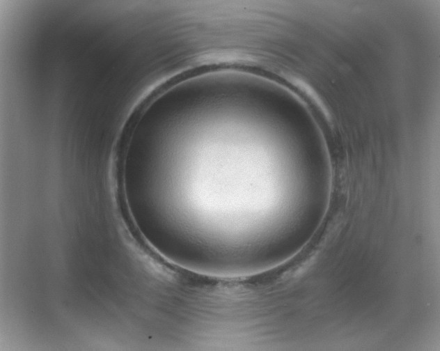 X0000069830983200605191135