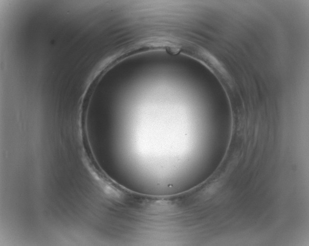 X0000069830986200605191135