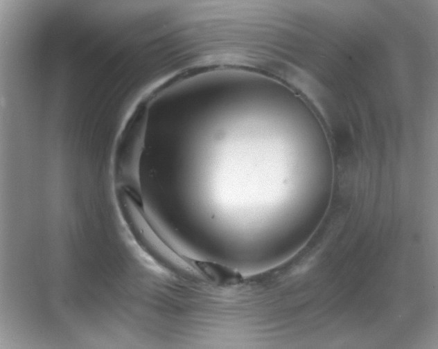 X0000069830987200605191135