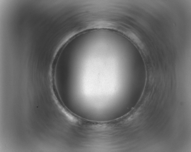 X0000069830990200605191135