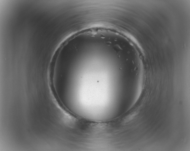 X0000069830991200605191135