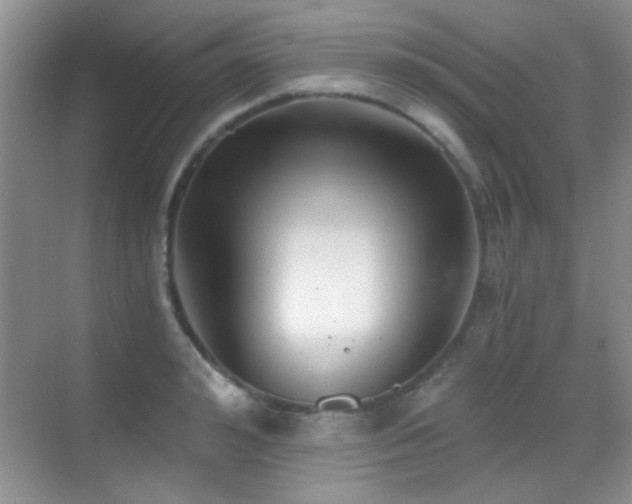 X0000069830992200605191135