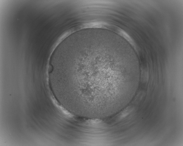 X0000069830994200605191135