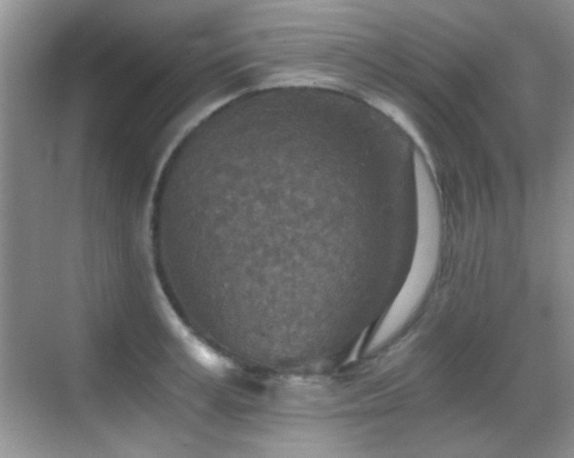 X0000069830995200605191135