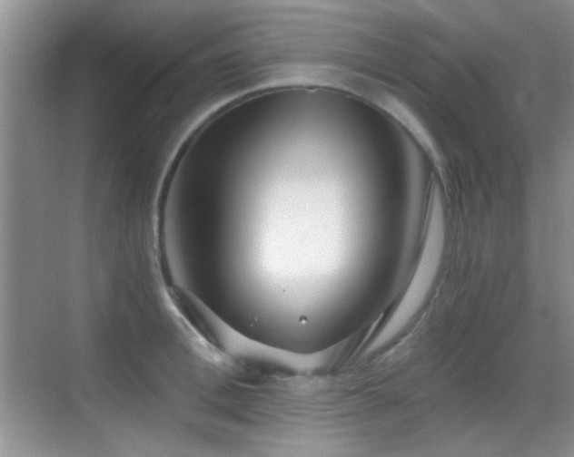 X0000069830996200605191135