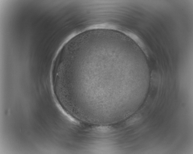 X0000069830998200605191135