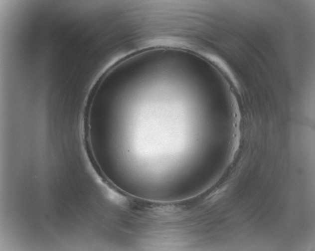 X0000069830999200605191135