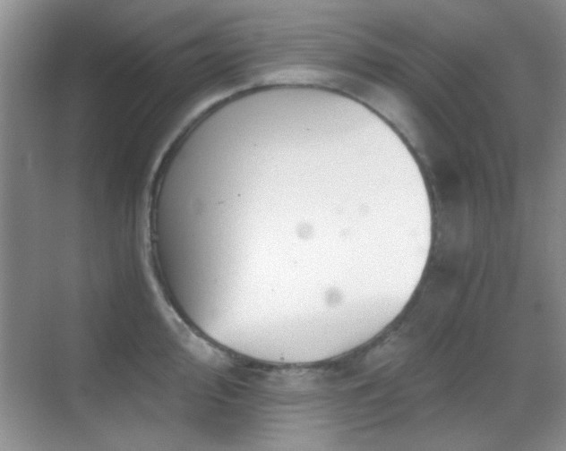 X0000069831000200605191135