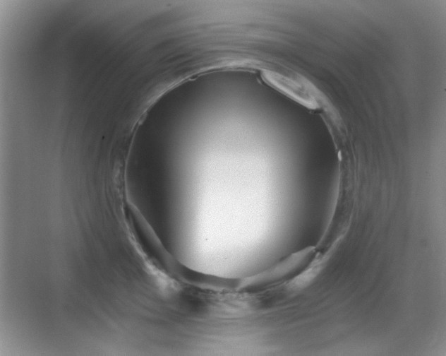 X0000069831001200605191135