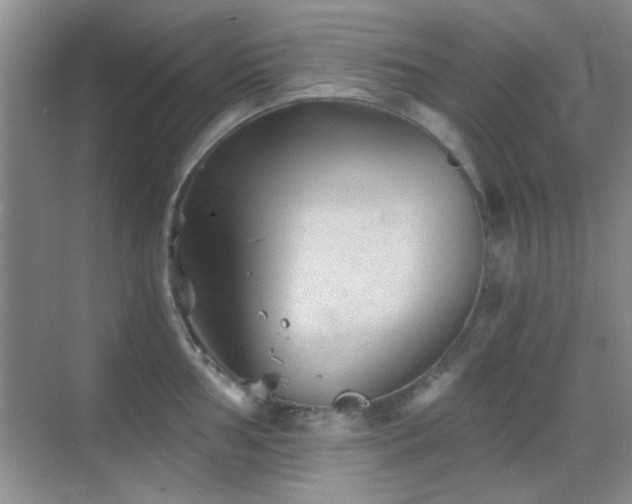 X0000069831002200605191135