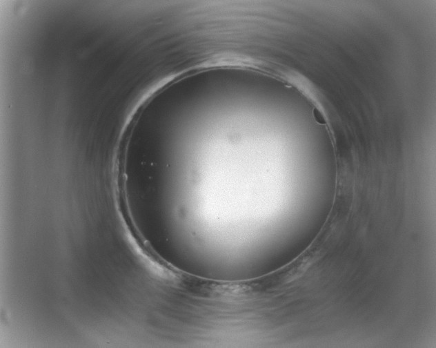 X0000069831003200605191135