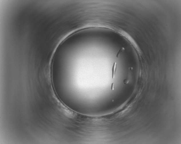 X0000069831004200605191135