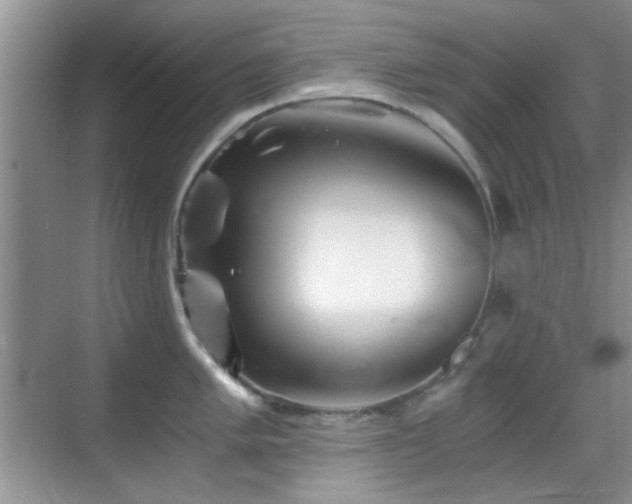 X0000069831005200605191135