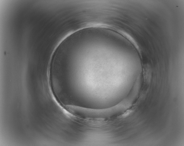 X0000069831007200605191135