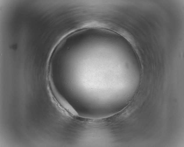 X0000069831008200605191135