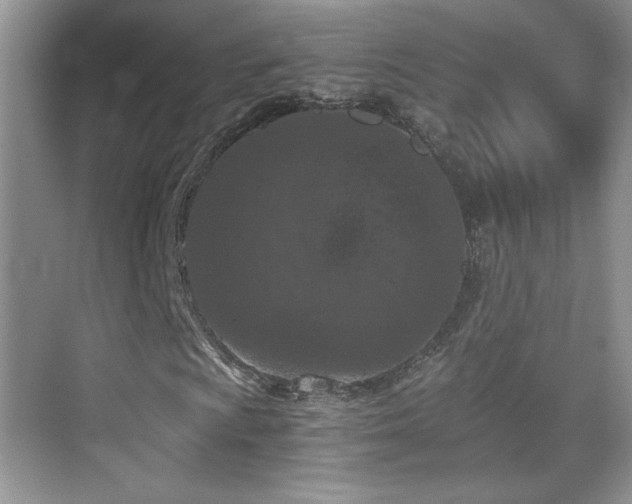 X0000069831009200605191134