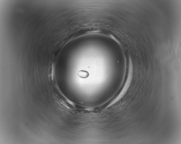 X0000069831010200605191134