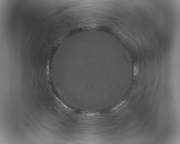 X0000069831011200605191134