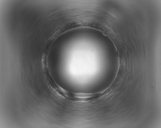 X0000069831012200605191134