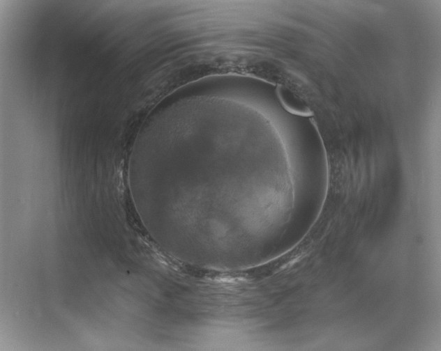 X0000069831013200605191134