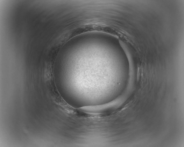 X0000069831014200605191134