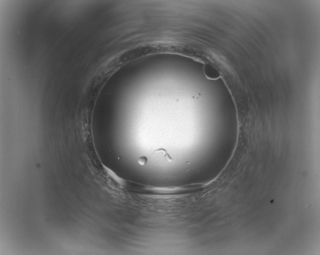 X0000069831015200605191134