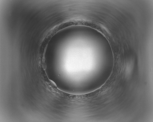 X0000069831016200605191134